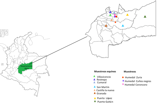 &Aacute;reas de muestreo - Vigilancia epidemiol&oacute;gica al virus Occidental del Nilo en departamento del Meta- Colombia