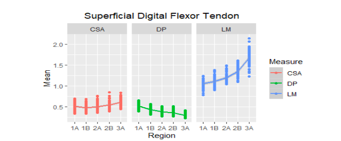 Mean of the ultrasound values of the superficial digital flexor tendon of the metacarpal region (1A-3A) of 30 Colombian creole horses. AT: cross-sectional area, D: dorsopalmar width and LM: lateromedial width