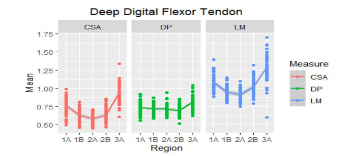 Mean ultrasound values of the deep digital flexor tendon of the metacarpal region (1A-3A) of 30 Colombian creole horses. AT: cross-sectional area, D: dorsopalmar width and LM: lateromedial width.