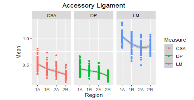 Mean of the ultrasound values of the accessory ligament of the DDFT of the metacarpal region (1A-2B) of 30 Colombian creole horses. AT: cross-sectional area, D: dorsopalmar width and LM: lateromedial width. DDFT: Deep Digital Flexor Tendon.