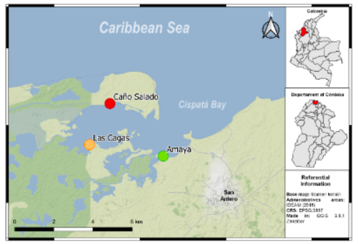 Study area and location of sampling sectors at Cispat&aacute; Bay, state of C&oacute;rdoba, Colombian Caribbean. Red Circle: Ca&ntilde;o Salado; yellow circle: Las Cagas; green circle: Amaya.