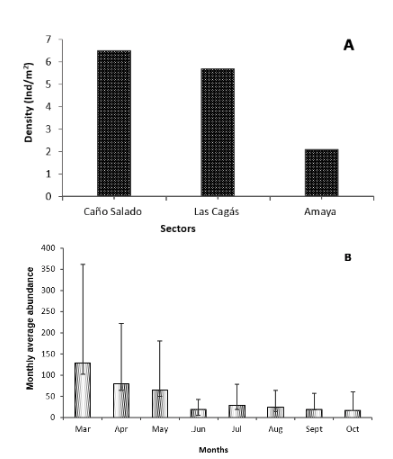 A. Spatial density of M. melongena in research sectors. B. Monthly average abundance of M. melongena at Cispat&aacute; Bay, C&oacute;rdoba, Colombian Caribbean.