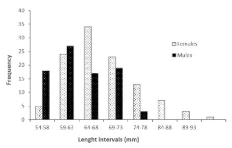 Size frequency distribution of males and females of M. Melongena, at the Cispat&aacute; Bay, state of C&oacute;rdoba, Colombian Caribbean.