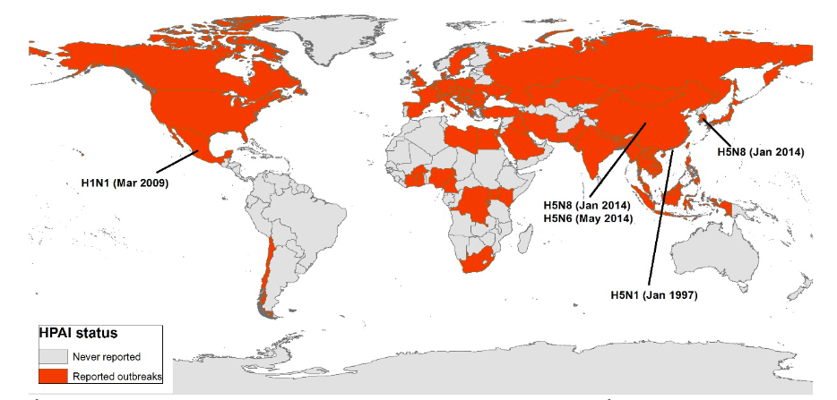 Pa&iacute;ses afectados por el virus de la influenza aviar altamente pat&oacute;gena (IAAP) desde 1997 hasta la fecha y lugares de emergencia de los principales subtipos de virus influenza A.