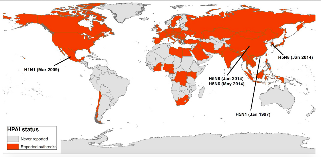 Countries affected by highly pathogenic avian influenza virus (IAAP) from 1997 to date and places of emergency of the main subtypes of influenza A virus.