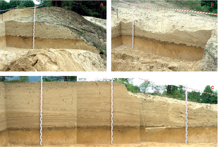 Perkasos 1 šiaurinė (A) ir vakarinė (B ir C) sienelės. E. Šatavičiaus nuotrauka