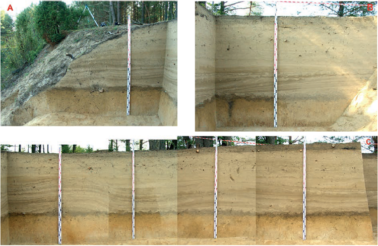 Perkasos 2 pietinė (A) ir vakarinė (C ir B) sienelės. E. Šatavičiaus nuotrauka