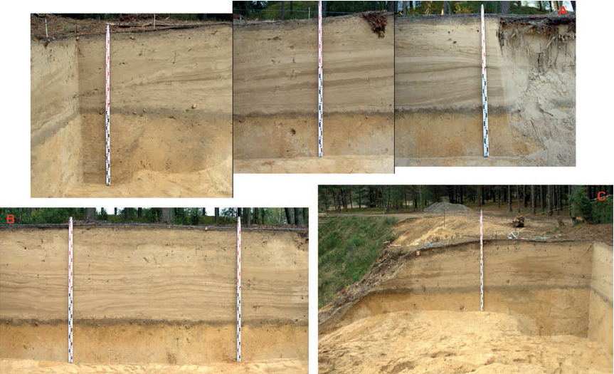 Perkasos 3 vakarinė (A ir B) ir pietinė (C) sienelės. E. Šatavičiaus nuotrauka