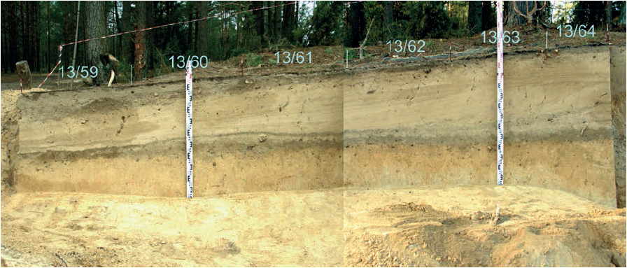 Perkasos 4 vakarinė sienelė. E. Šatavičiaus nuotrauka
