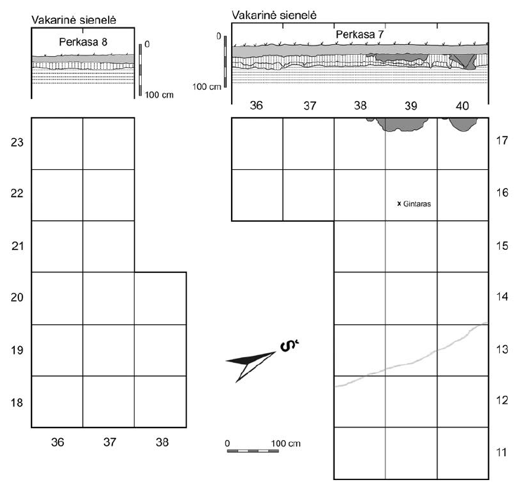 Perkasų 7 ir 8 planai. Sutartiniai ženklai pateikti 13 pav. E. Šatavičiaus brėžinys