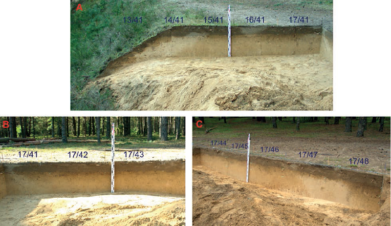Perkasos 6 pietinė (A) ir vakarinė (B ir C) sienelės. E. Šatavičiaus nuotrauka