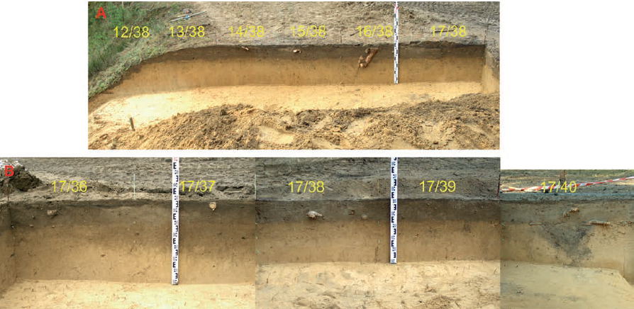 Perkasos 7 pietinė (A) ir vakarinė (B) sienelės. E. Šatavičiaus nuotrauka