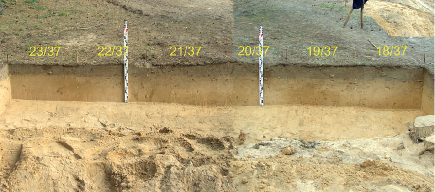 Perkasos 8 šiaurinė sienelė. E. Šatavičiaus nuotrauka