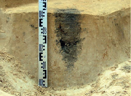 Perkasoje 1 atidengtas sudegusio medinio stulpo pjūvis. E. Šatavičiaus nuotrauka