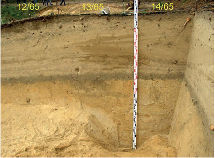 Stambios duobės pjūvis perkasos 3 pietinėje sienelėje. E. Šatavičiaus nuotrauka
