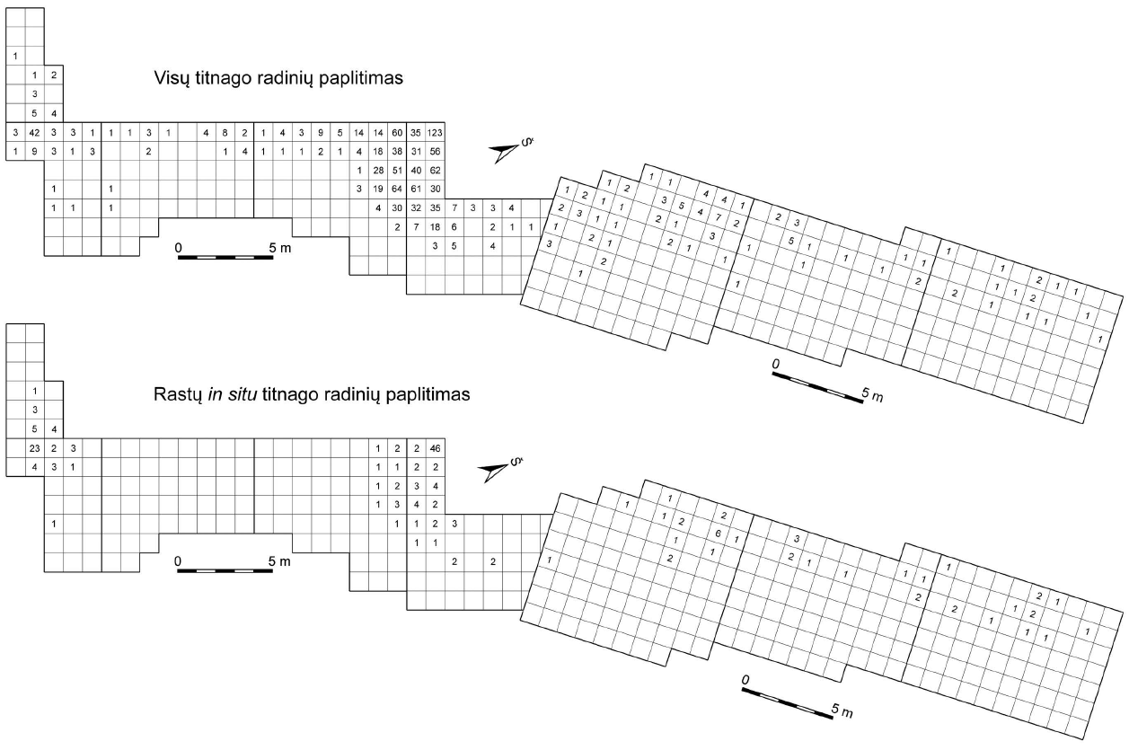 Titnago radinių pasiskirstymas tirtame ruože. E. Šatavičiaus brėžinys