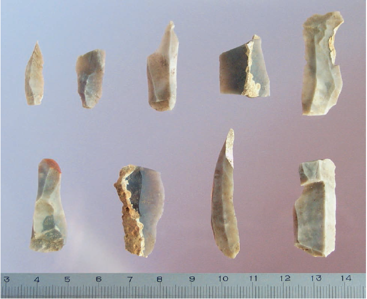 Titnago radiniai. Skeltės ir jų fragmentai. E. Šatavičiaus nuotrauka