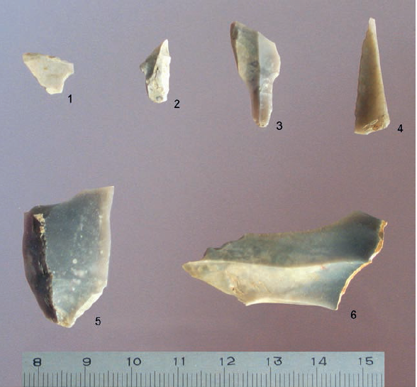 Titnago radiniai. Dirbinių fragmentai (1–4) ir retušuotos nuoskalos (5–6). E. Šatavičiaus nuotrauka