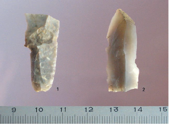 Titnago radiniai. Retušuotos skelčių dalys. E. Šatavičiaus nuotrauka