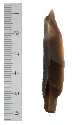 1970 m. surastas įkotinis antgalis. E. Šatavičiaus nuotrauka