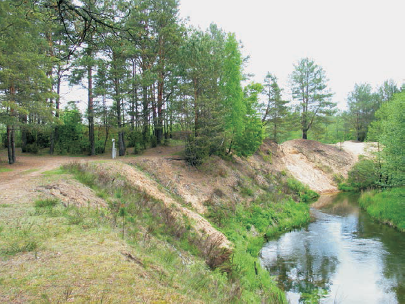 Kapčiamiesčio senovės gyvenvietės rytinį pakraštį eroduojantys upės skardžiai, 2006 m. liepa. E. Šatavičiaus nuotrauka