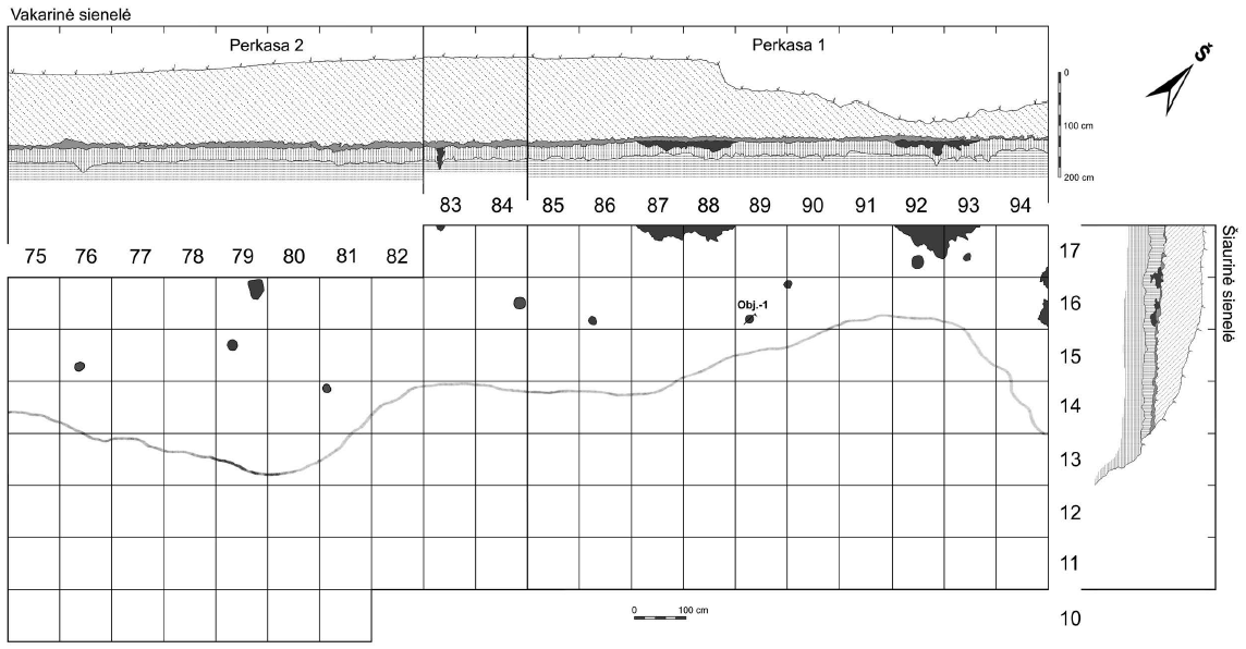 Perkasų 1 ir 2 planas. Sutartiniai ženklai pateikti 13 pav. E. Šatavičiaus brėžinys