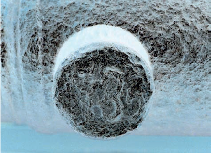 Grafine programa apdorotas kairiojo kaiščio dugno vaizdas. Išryškėjusi data „1786“