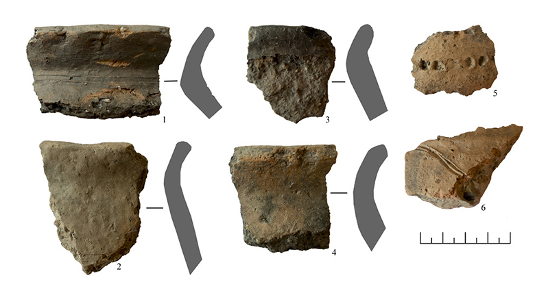 X–XII a. lipdytinė keramika lygiu paviršiumi iš gyvenvietės prie Lizdeikos piliakalnio. R. Vengalio nuotrauka