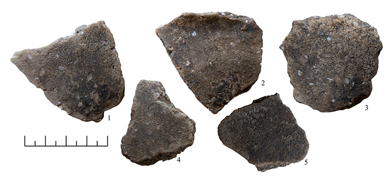 Ankstyvoji kruopėtoji keramika iš Mindaugo Sosto piliakalnio. R. Vengalio nuotrauka