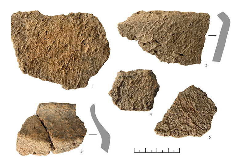 Ankstyvoji kruopėtoji keramika iš Aukuro kalno piliakalnio. R. Vengalio nuotrauka