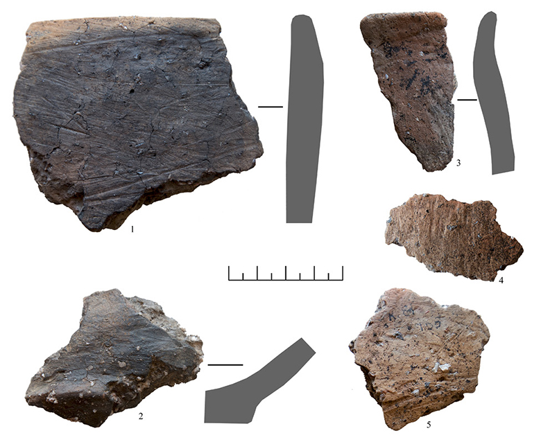 Ankstyvoji brūkšniuotoji keramika iš Mindaugo Sosto piliakalnio. R. Vengalio nuotrauka