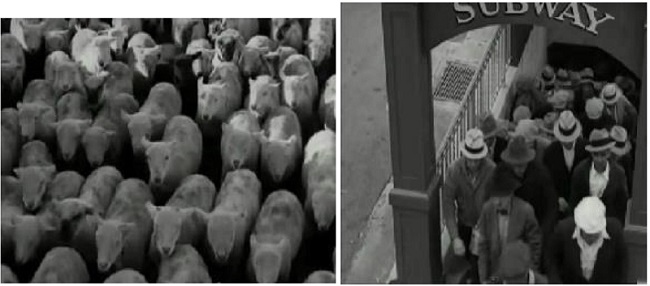 Yuxtaposici&oacute;n 