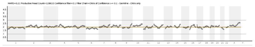 The report visualisation of the PGT-SR analysis of the Next Generation Sequencing on the Ion PGM&trade; System using The Ion ReproSeq&trade; PGS View Kits of the 2nd embryo. The embryo was diploid with a 46,XX karyotype.