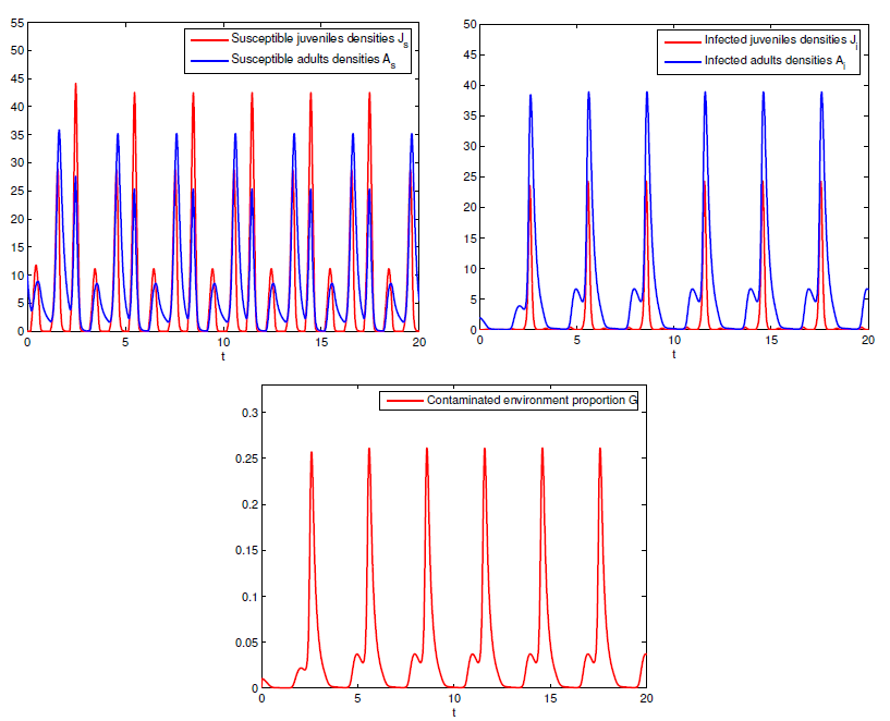 Dynamics for system (1) when R0 = 1.4272 > 1.