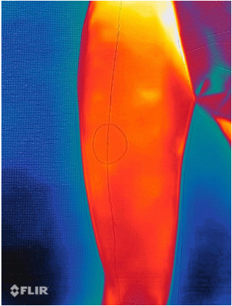 Tiriamosios srities termograma prieš „šalčio iššūkį“