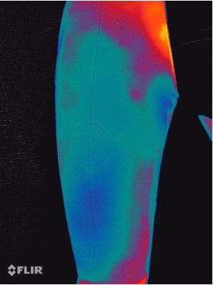 Tiriamosios srities termograma po „šalčio iššūkio“