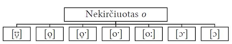 Nekirčiuoto balsio o atitikmenys Kauno rajono šnektose (sudaryta straipsnio autorės)