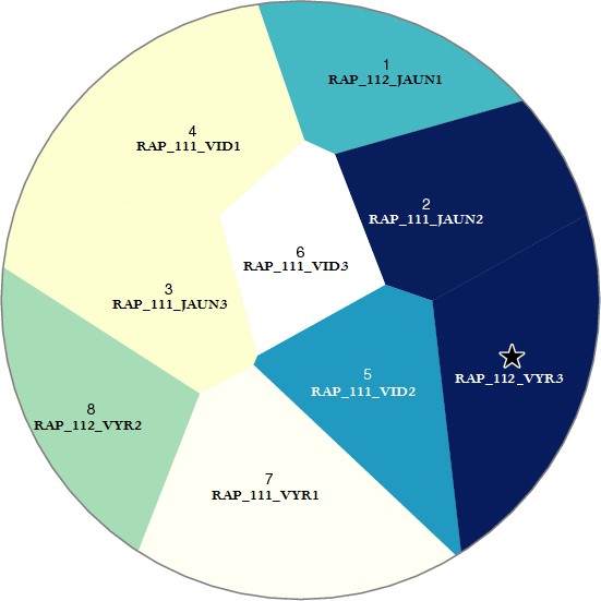Pateikėjo RAP_112_VYR3  tarminiai panašumai su kitais tiriamaisiais    Importar tabla