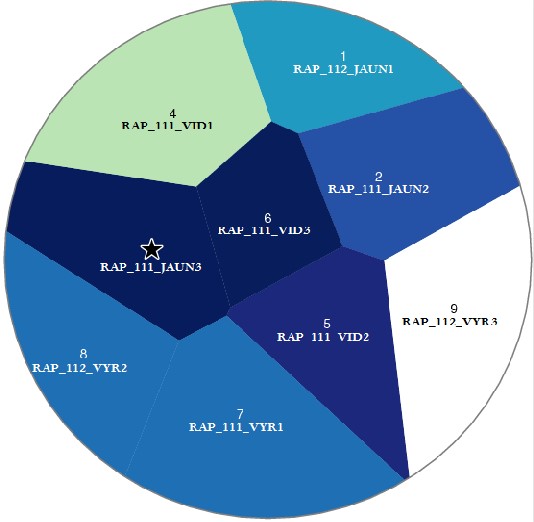 Pateikėjo RAP_111_JAUN3  tarminiai panašumai su kitais tiriamaisiais