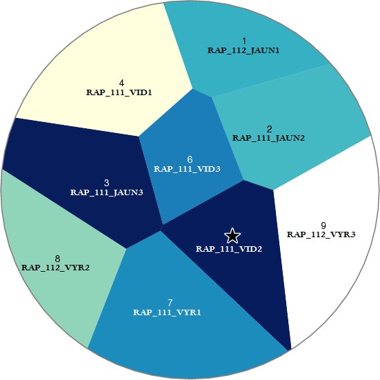 Pateikėjo RAP_111_VID2  tarminiai panašumai su kitais tiriamaisiais