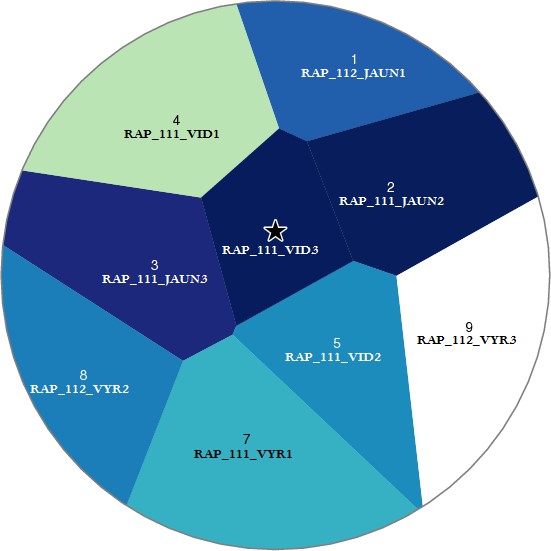 Pateikėjo RAP_111_VID3  tarminiai panašumai su kitais tiriamaisiais