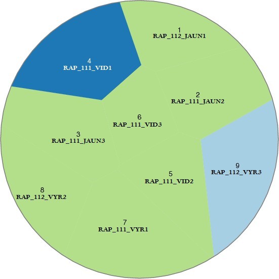 Jonišk lio (LKA 111) ir P svalio (LKA 112) punktų tiriamųjų grupavimasis pagal vartojamų tarminiųypatybių panašumą. Trys klasteriai11