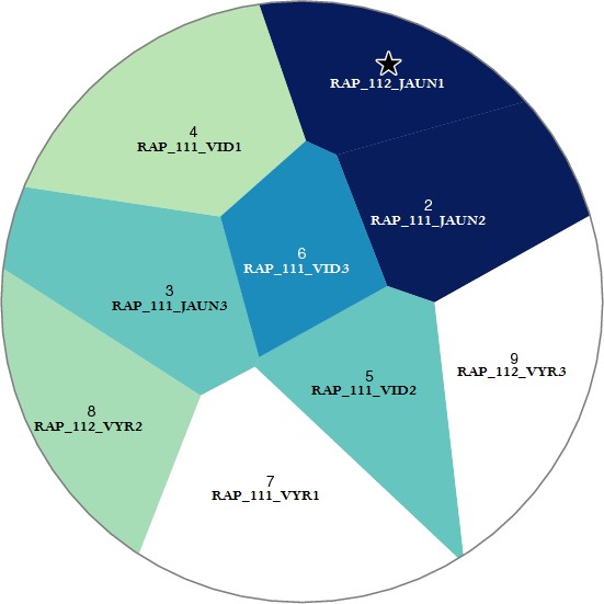 Pateikėjo RAP_112_JAUN1  tarminiai panašumai su kitais tiriamaisiais
