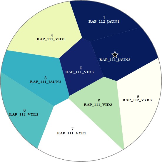Pateikėjo RAP_111_JAUN2  tarminiai panašumai su kitais tiriamaisiais