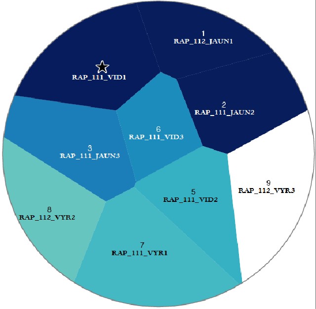 Pateikėjo RAP_111_VID1  tarminiai panašumai su kitais tiriamaisiais