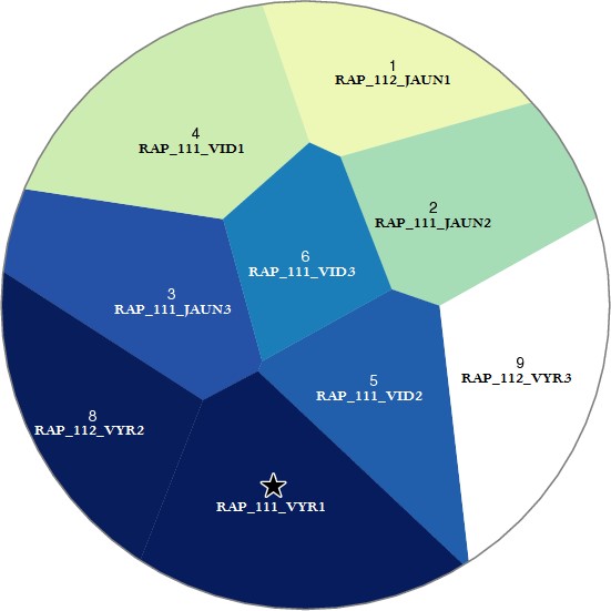 Pateikėjo RAP_111_VYR1  tarminiai panašumai su kitais tiriamaisiais
