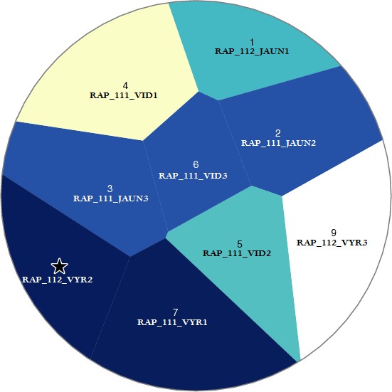 Pateikėjo RAP_112_VYR2  tarminiai panašumai su kitais tiriamaisiais