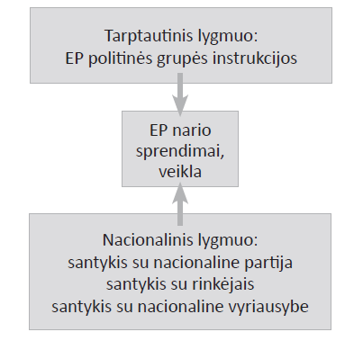 Dviejų lygmenų žaidimas EP nario veikloje