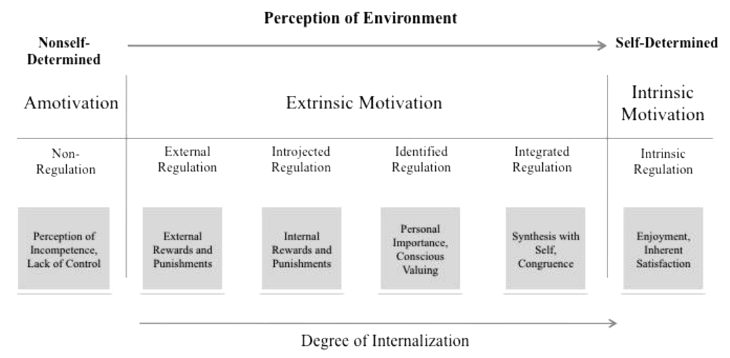 Self-Determination Theory (Ryan & Deci 2000, 72)