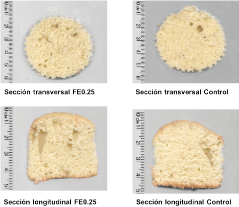 Cortes transversales y longitudinales de muffins sin adici&oacute;n de &aacute;cido fum&aacute;rico (control) y con adici&oacute;n de &aacute;cido fum&aacute;rico al 0.25% en su formulaci&oacute;n (FE0.25)